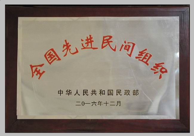 全國先進民間組織