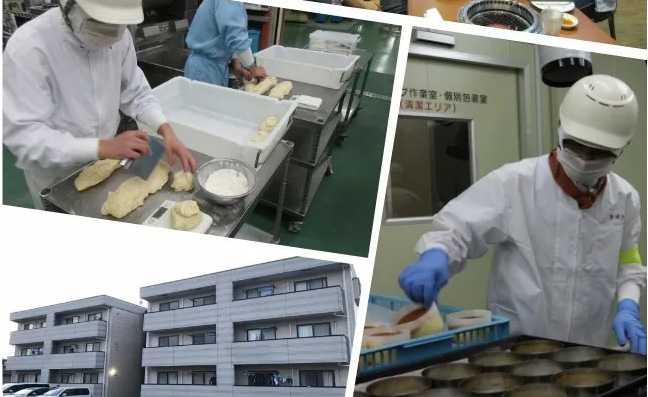 日本2020年8月新單匯總！