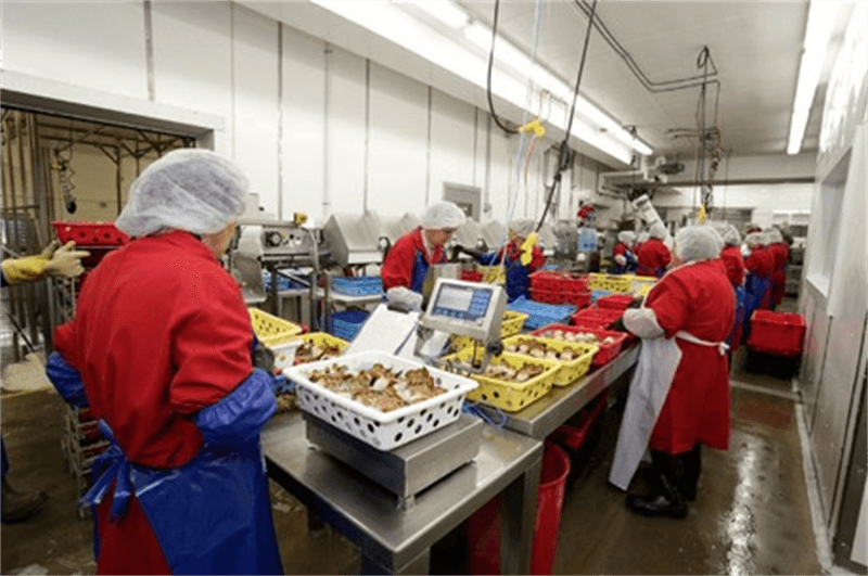 1650431923462030.png 1650431923462030.png